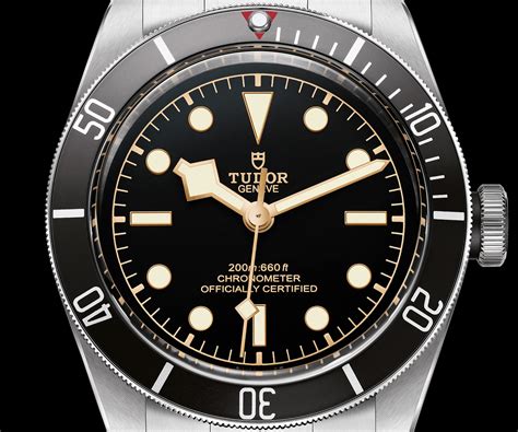 tudor black bay scuba watch.